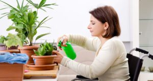 woman in wheelchair tends to houseplants