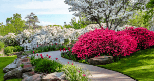Shrubs to plant in early spring header image gorgeous backyard
