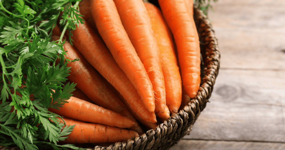 What Vegetables To Plant In March In Maryland And Virginia