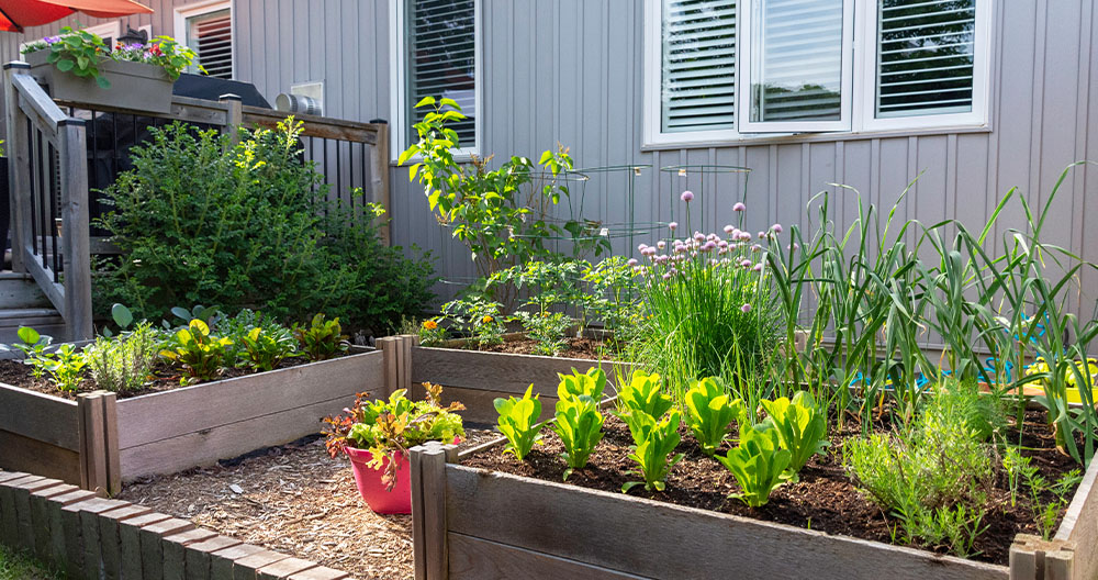 Greenstreet Gardens - Spring Veggies for Small Spaces--small space raised vegetable garden bed