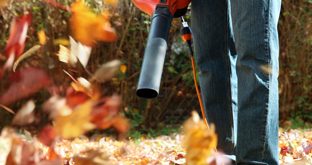 Greenstreet Gardens Virginia-A Complete Guide to Fall Lawn Care-leaf blowing autumn leaves