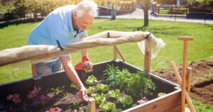 Greenstreet Gardens Virginia-Use Season Extenders for a Longer Harvest-checking on health of vegetable garden