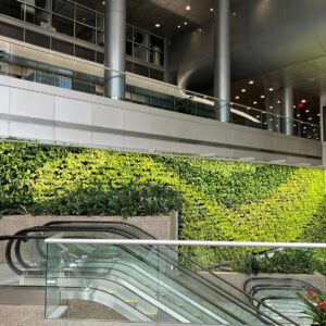 Greenwalls-Banner-Image-Square