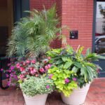 Greenstreet Gardens Container Gardening