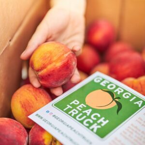 A dynamic photo capturing a hand reaching for a fresh peach from a box, with a sign displaying the Georgia Peach Truck logo on top, showcasing the freshness and allure of Georgia's finest produce.